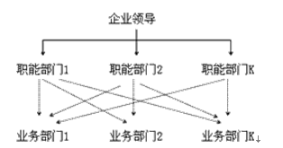 職能制組織結構圖