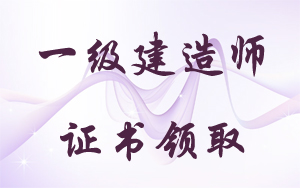 一級建造師執業(yè)資格考試登記表