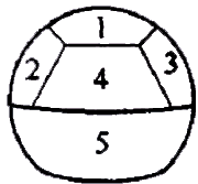 二級建造師考試市政實(shí)務(wù)知識點(diǎn)：噴錨暗挖法的掘進(jìn)方式選擇