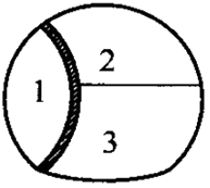 二級建造師考試市政實(shí)務(wù)知識點(diǎn)：噴錨暗挖法的掘進(jìn)方式選擇
