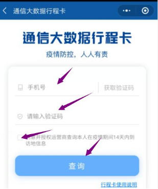最后輸入自己的手機號碼，點(diǎn)擊查詢(xún)。