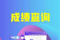 二建成績(jì)查詢(xún)
